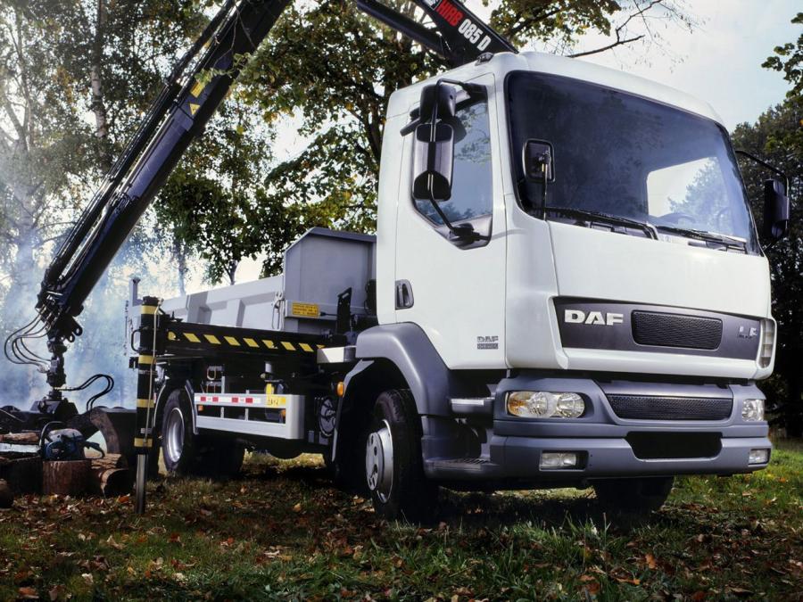  DAF LF55 4x2 FA Day Cab Crane 2006 года  (фото 2 из 2)